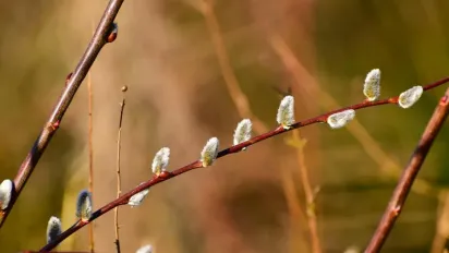 У п’ятницю в Україні буде ще тепло, але скоро похолодає, - синоптикиня - фото