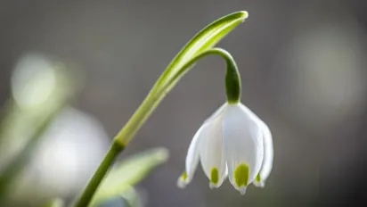 Україну накриє аномальне тепло до +17°C: прогноз синоптиків - фото