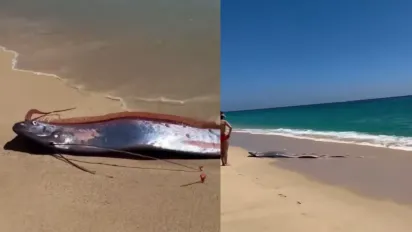 Риба «Судного дня» в Мексиці: чому знахідка глибоководного монстра лякає людей - фото