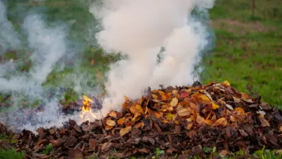 Штрафи до 150 тисяч: українців попередили про покарання за спалювання трави - фото