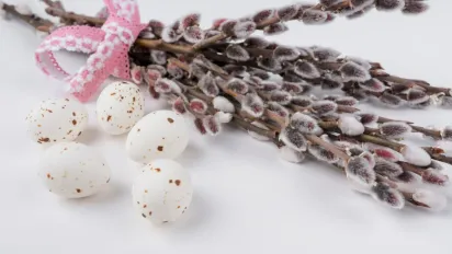 Не пропустіть важливу дату: коли відзначатимуть Вербну неділю у 2026 році - фото