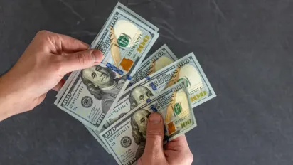 Чи може долар зрости до 50 гривень: банкір пояснив ситуацію на валютному ринку - фото