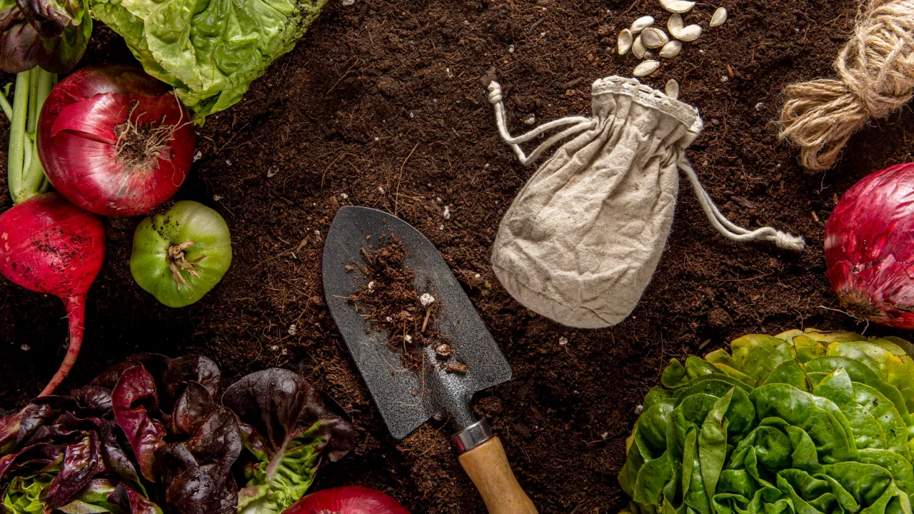 Не проґавте березень: що потрібно посіяти на городі, щоб отримати ранній урожай 