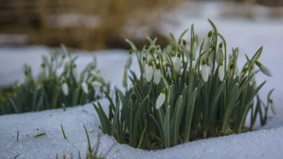 Погода в Україні 16-18 березня: йдуть дощі та мокрий сніг - фото