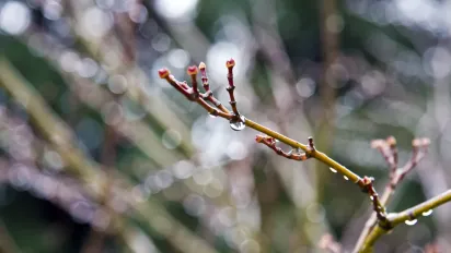 В Україну повертаються холоди: температура знизиться до +5° і йтиме мокрий сніг - фото