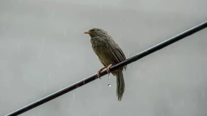 Температурні контрасти та перші дощі: синоптикиня попередила про погоду в Україні 17 березня - фото