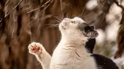 Синоптикиня повідомила, як довго в Україні триватиме похолодання - фото