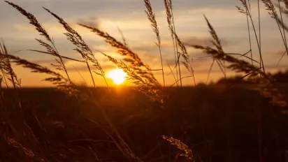 Весняне рівнодення 2026: точний час настання астрономічної весни - фото