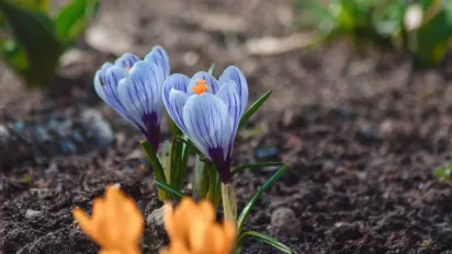 Синоптик розказав, коли в Україні потеплішає та припиняться дощі - фото