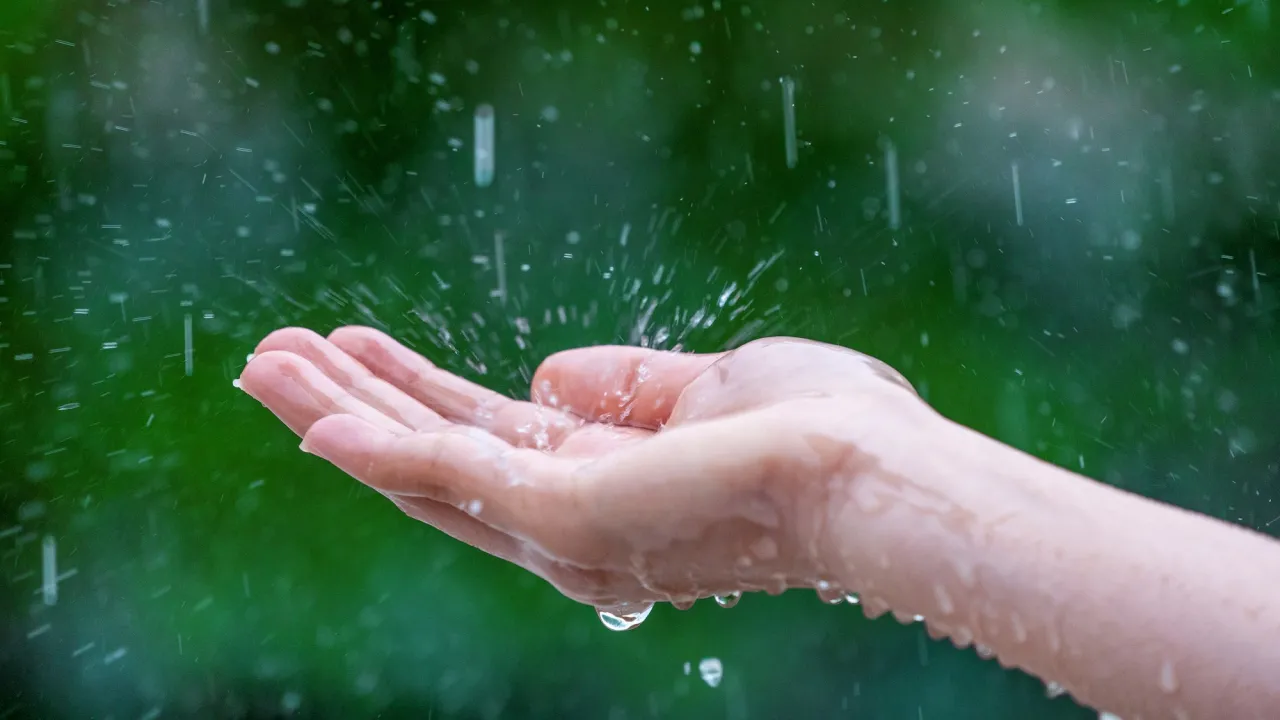 Весна з сюрпризами: де в Україні 19 березня очікують дощі та заморозки 