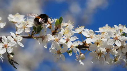 Не плачте і не носіть брудне: як 19 березня не накликати біду на весь квітень - фото