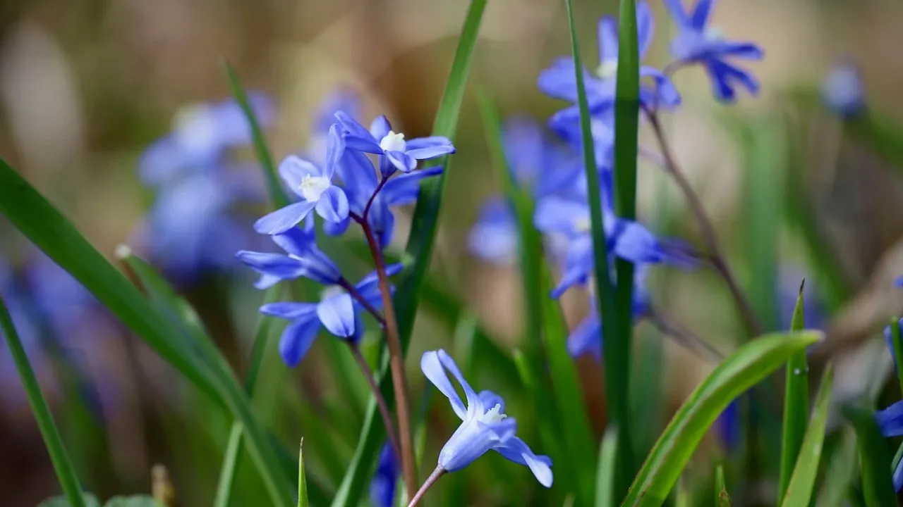 Коли в Україну повернеться тепло: прогноз на кінець березня  