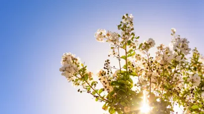 Погода в Україні на квітень 2026: коли чекати тепла і похолодання - фото