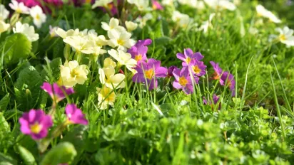 В Україну йде антициклон: синоптик розповів, якою буде погода в Україні 21–22 березня - фото