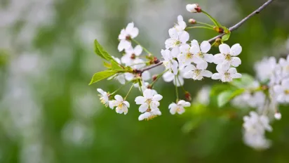 Чого не варто робити 21 березня: як правильно провести поминальну суботу четвертого тижня посту - фото