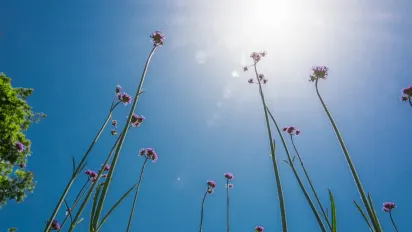 Стрибок до +20°C після заморозків: синоптики назвали дату різкого потепління в Україні - фото