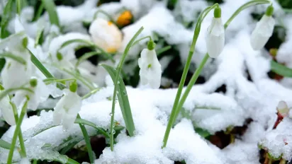 Україну накриє суттєве похолодання з дощами та мокрим снігом, - синоптик - фото