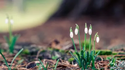 Тішитися теплом будемо недовго: синоптикиня попередила про похолодання в Україні - фото