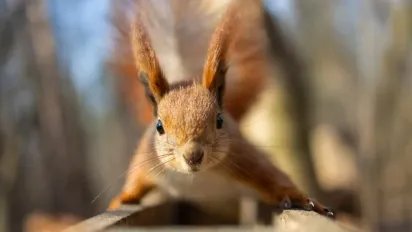 Погода на вихідні: де в Україні буде +18°, а кому заважатиме вітер   - фото