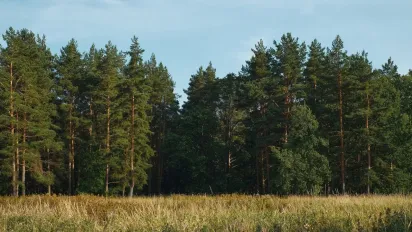 З 1 квітня стартує «сезон тиші»: за що можна отримати штраф до 1190 грн - фото