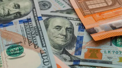 Долар і євро втрачають позиції: офіційний курс на 31 березня - фото