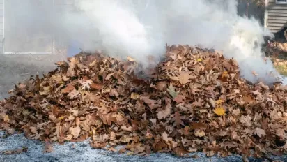 Штрафи за спалювання листя 2026: скільки доведеться заплатити - фото