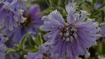 До України мчить сильне похолодання: температура впаде до "мінусів" - фото