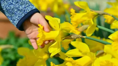 Коли до України повернеться весняне тепло: прогноз Наталки Діденко - фото
