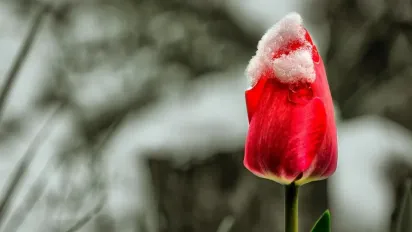 В Україні очікується різке похолодання та нічні морози: прогноз на 8 квітня - фото