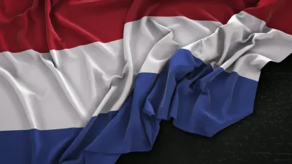 Україна та Нідерланди розпочали спільне виробництво дронів: що відомо - фото