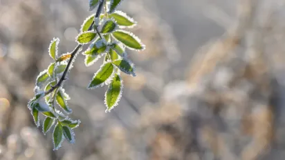 Різке похолодання в Україні: синоптики попередили про критичні заморозки - фото