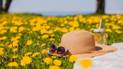 Екстремальна спека чи помірне тепло: прогноз на літній сезон 2026 року - фото