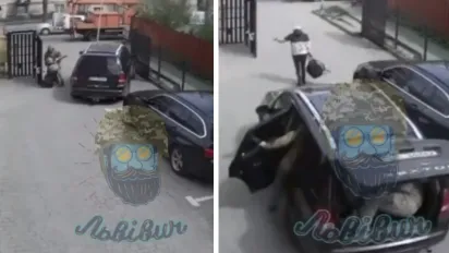 У Львові представники ТЦК наїхали на матір щойно мобілізованого, у неї ймовірно перелом ніг — ЗМІ (ВІДЕО) - фото