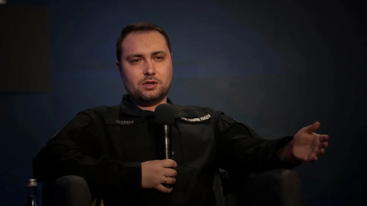 «Це ніколи не працювало»: Буданов пояснив, чому він проти легалізації зброї в Україні 