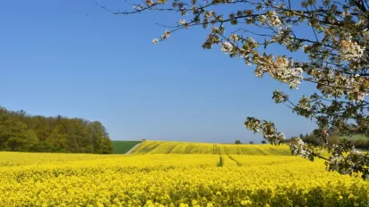 Холод відступає: названо дати, коли в Україну прийде справжнє тепло - фото