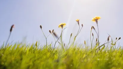 Різке потепління до +25 увірветься до низки областей: детальний прогноз погоди на тиждень - фото
