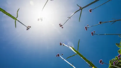 Літо посеред травня: синоптики назвали дати, коли в Україні вдарить +27°C - фото