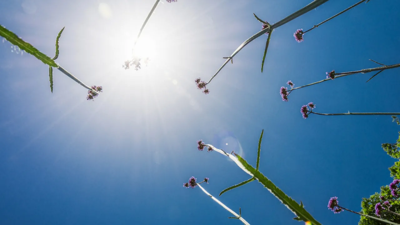 Літо посеред травня: синоптики назвали дати, коли в Україні вдарить +27°C 