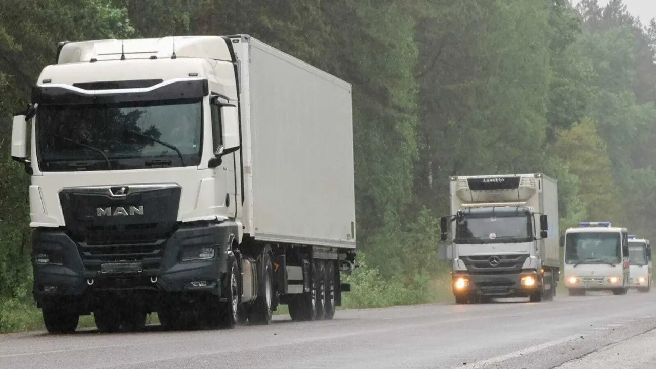 В Україну повернули тіла 528 загиблих, які можуть належати захисникам 