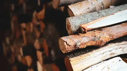 До 21 000 гривень на дрова та газ: українці отримають грошову допомогу на опалення від держави - фото