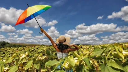 Синоптик повідомив, яка погода буде в Україні до кінця червня - фото