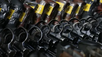 Українцям готують нові правила щодо зброї: що показали три роки роботи реєстру - фото