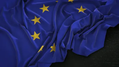 Опитування показало, скільки поляків не підтримують вступ України до ЄС - фото