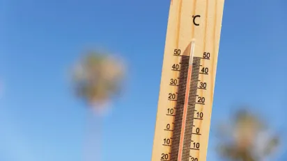 Спека до +36° накриє Україну вже за кілька днів: синоптики назвали дату - фото