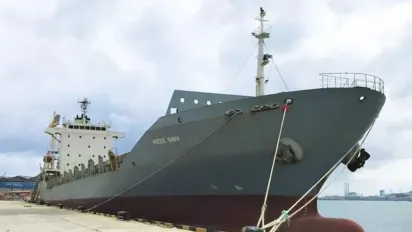 Морські дрони потопили контейнеровоз "Росатома" у Чорному морі - фото