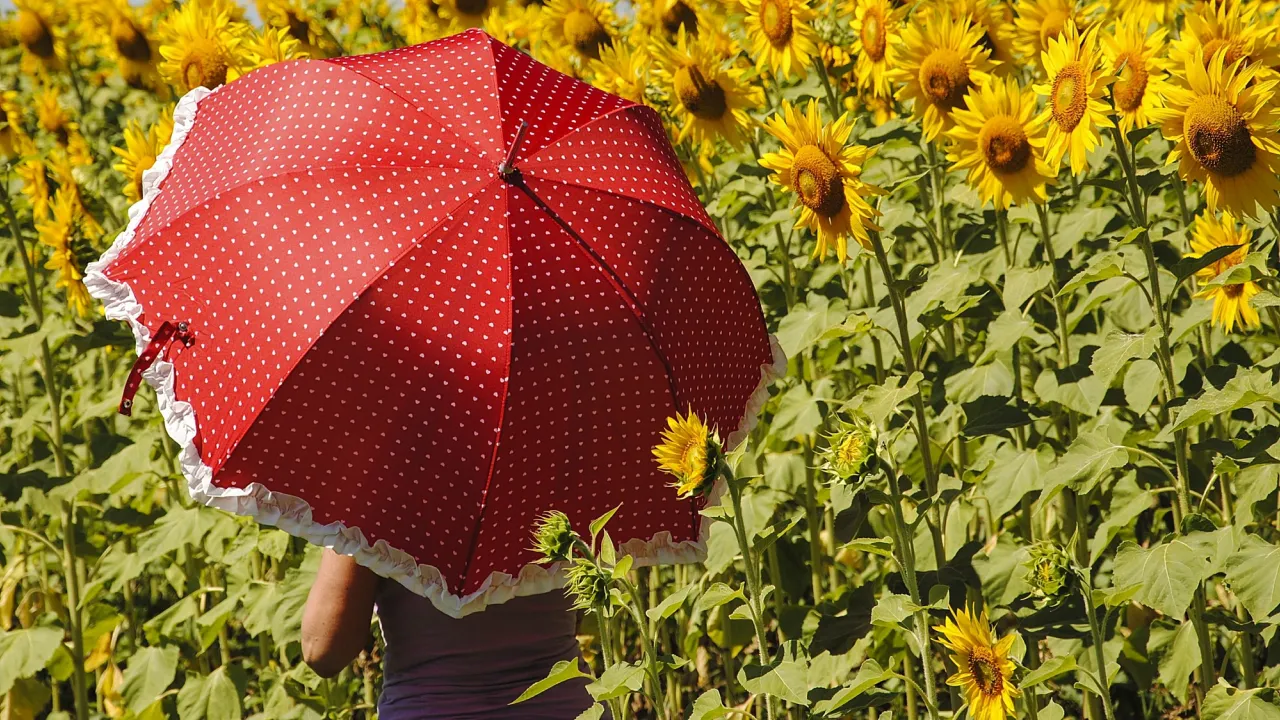 В Україні знову буде спекотно: температура підскочить до +36°, названо найгарячіші області 