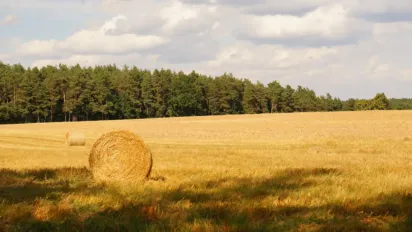Спека відступить не всюди: прогноз погоди в Україні на вихідні (карта) - фото