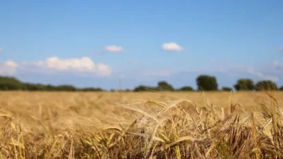 Сонце та золота осінь на порозі: якою буде погода в Україні 24 серпня  - фото