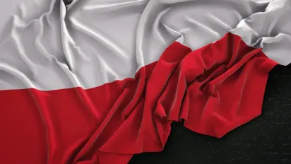 Вроцлав став на захист українців: міськрада ухвалила важливу резолюцію - фото