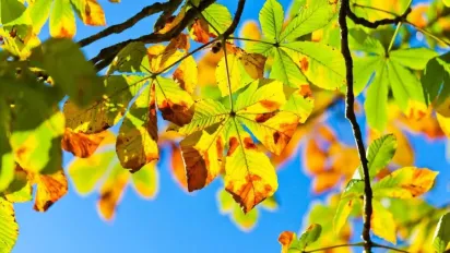 По майже +29° посеред вересня: синоптик здивував прогнозом на вихідні - фото
